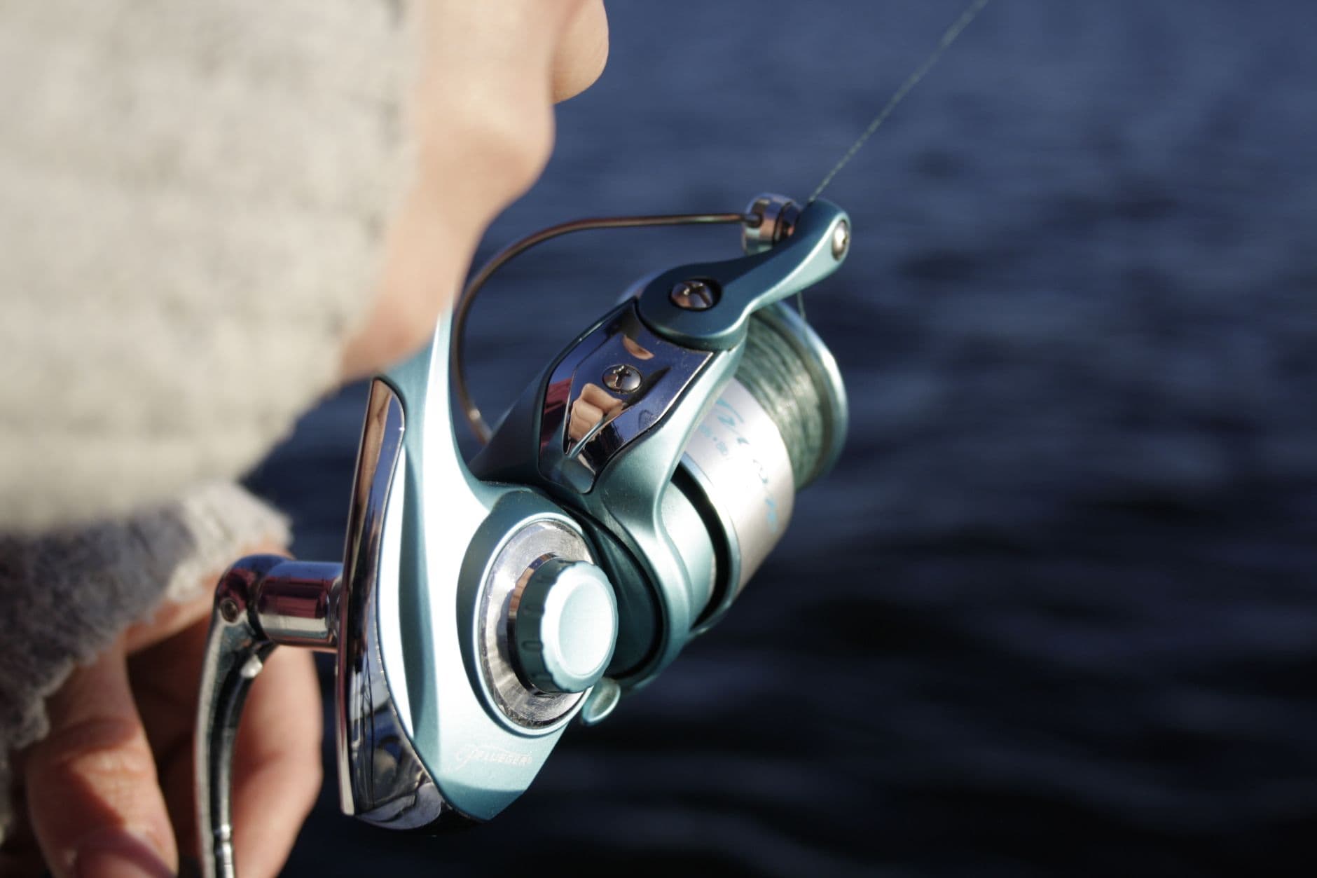 Fiskesnelle, best i test