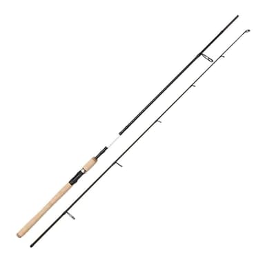 Myran Myran Eciton Spin Spinning Rod 10'/3,00m 15-40g 3sec
