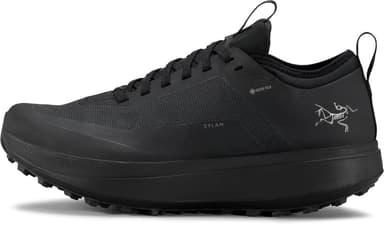 Arcteryx Arc'teryx Men's Sylan Gore-Tex Black / Black