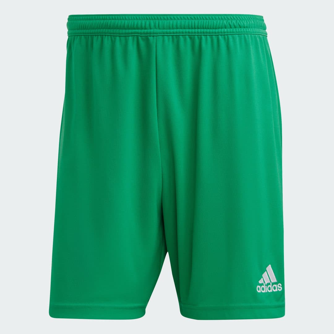 Adidas Entrada 22 Shorts