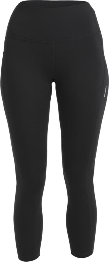 Icebreaker Merino 260 Fastray Tights