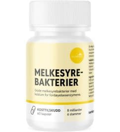 Sunkost Melkesyrebakterier